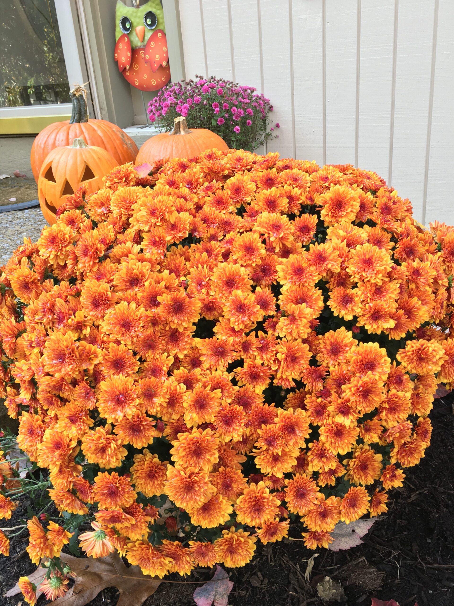 A Lesson From This Hardy Mum Heather Holleman