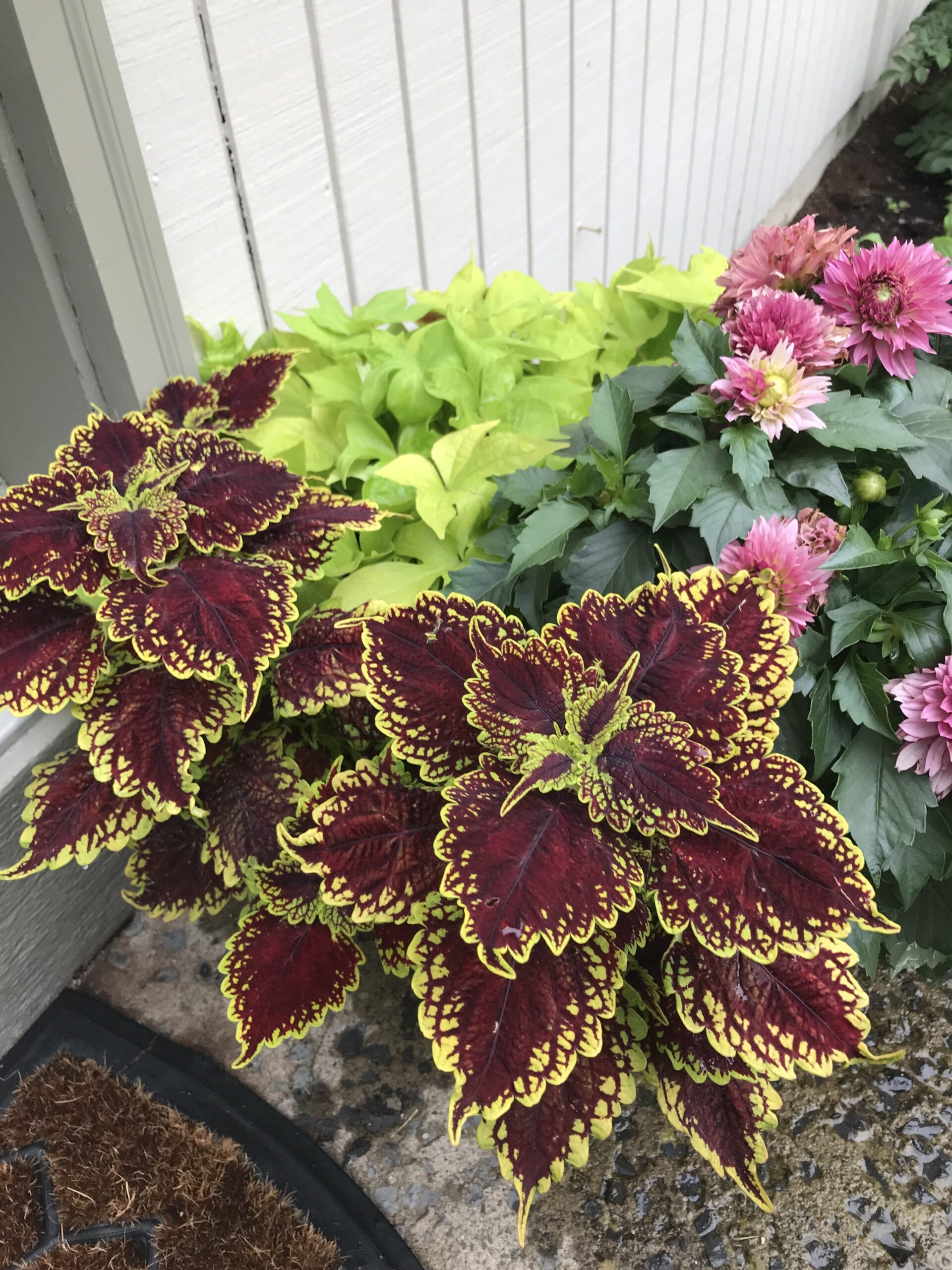 "Some plants grow best in shade." Heather Holleman